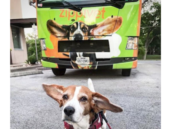 Vaccinations ZippiVet South Austin